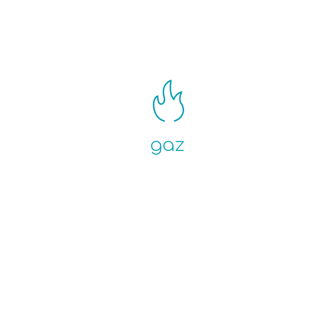 Faîtes réviser votre Chaudière Gaz en prenant directement RDV !